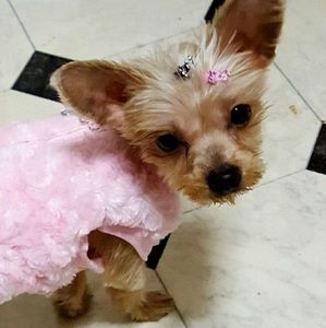 Meet your Posher, Donna